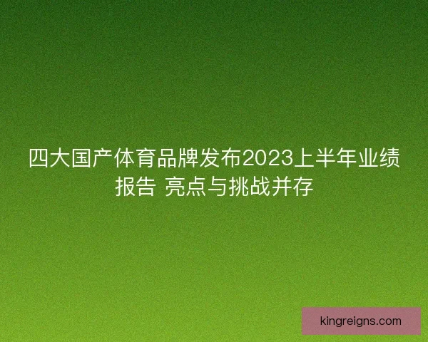 四大国产体育品牌发布2023上半年业绩报告 亮点与挑战并存